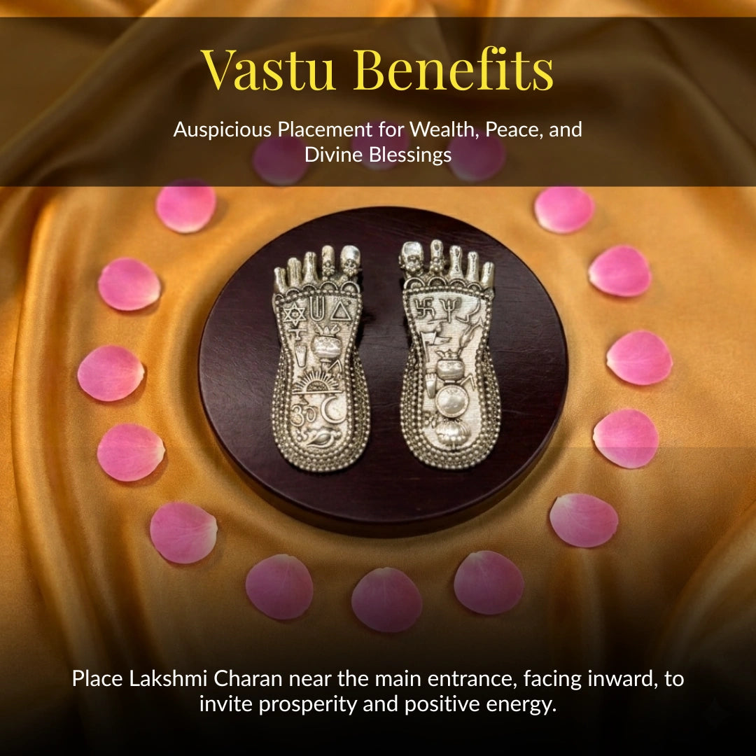 Lakshmi Charan Silver-Plated Idol